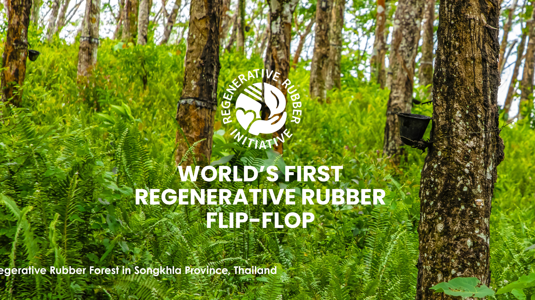 Why Regenerative Rubber? Why Now?
