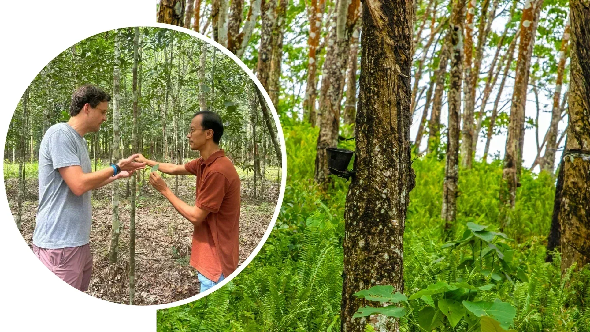 Regenerative Rubber Initiative