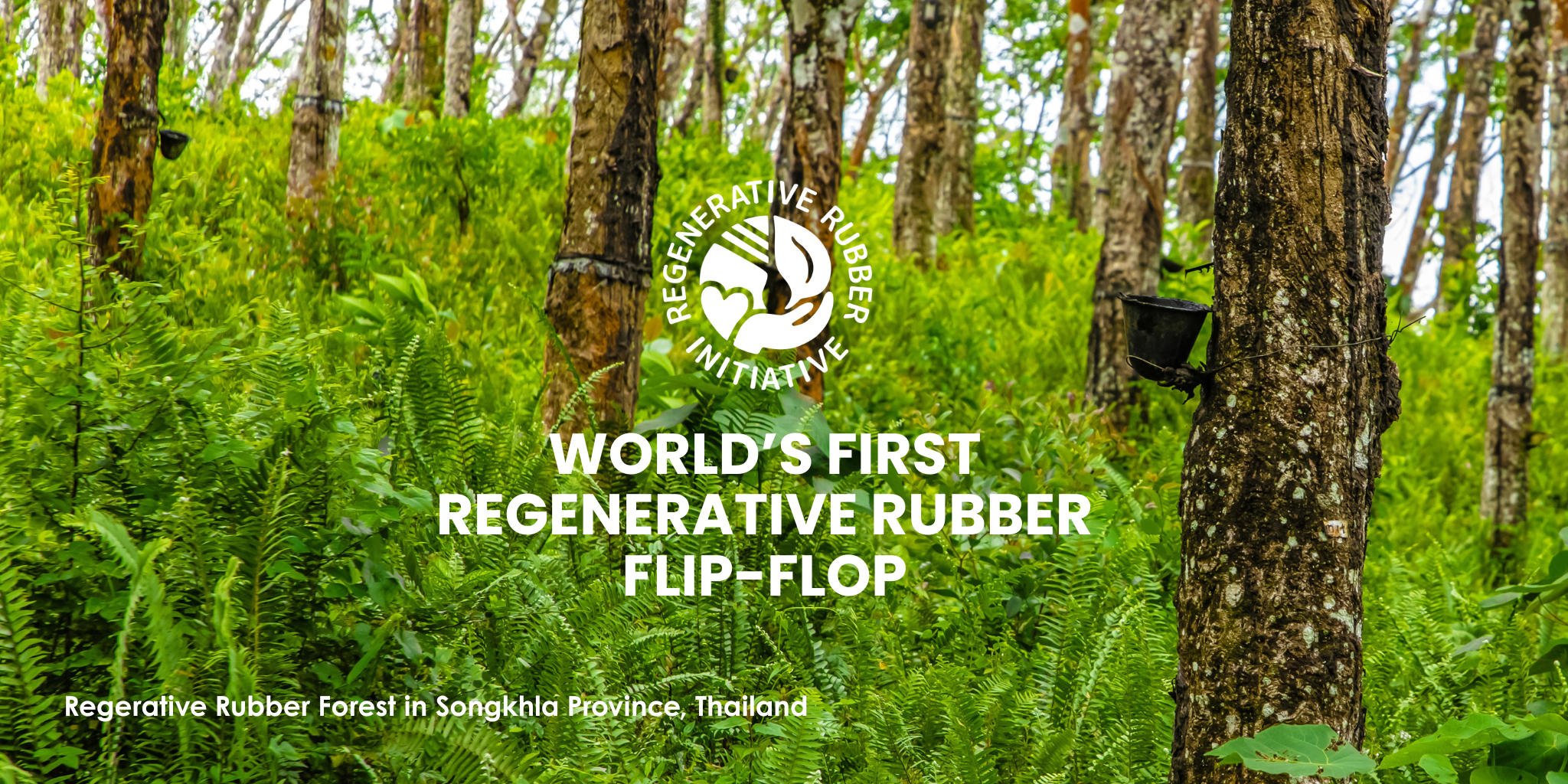 Why Regenerative Rubber? Why Now?